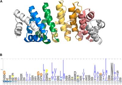 TRAL 2.0: Tandem Repeat Detection With Circular Profile Hidden Markov Models and Evolutionary Aligner